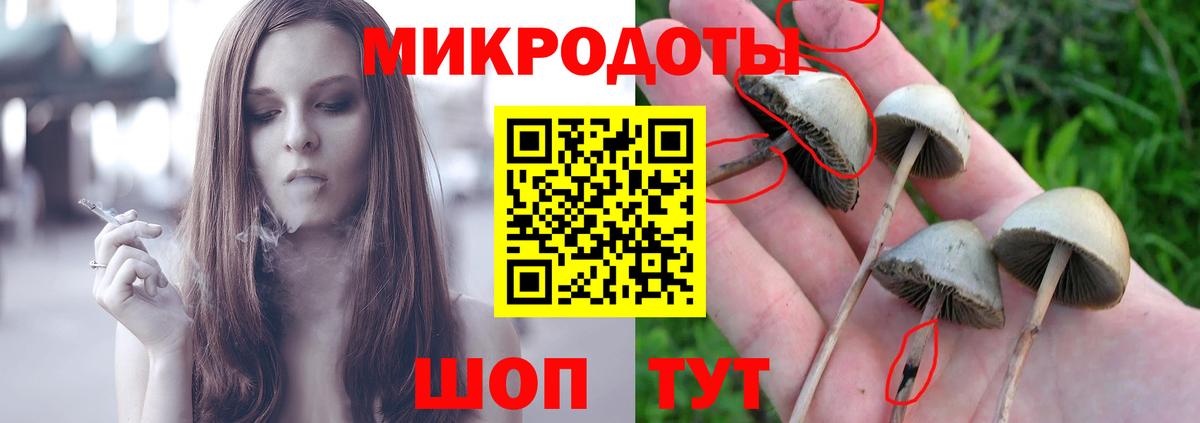 Псилоцибиновые грибы Magic Shrooms  Вход с VPN  сколько стоит  Дедовск 